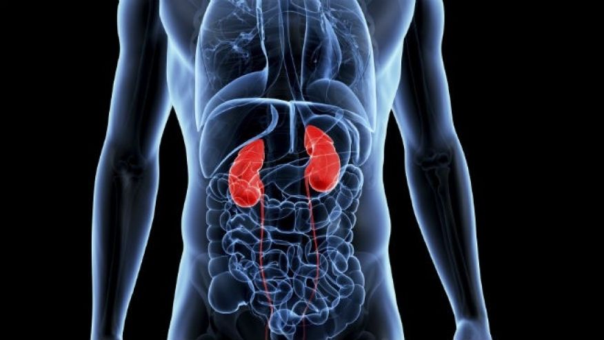 nowkidneytransplantsfromanydonorpossible